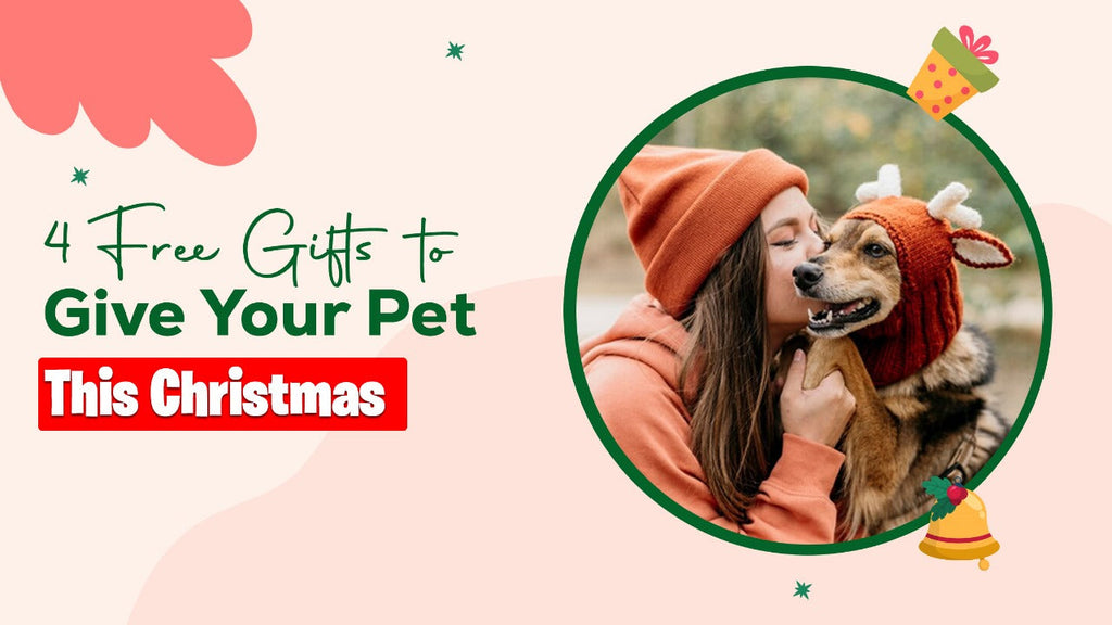 4 Free Christmas Pet Gifts for Dogs That Will Make Their Day