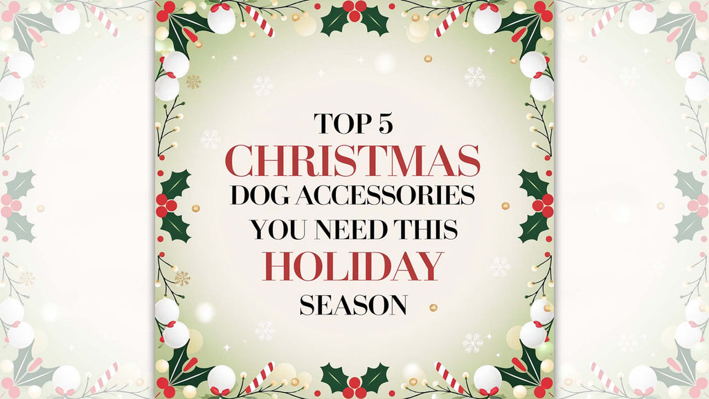 Top 5 Christmas Dog Accessories You Need This Holiday Season