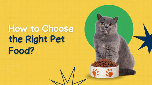 How to Choose the Right Pet Food for Your Pet: The Ultimate Guide