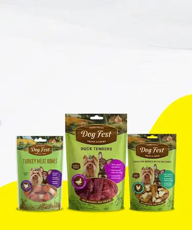 Best Pets Shop for All Needs of Your Fur baby Tree Pet store Tree pets Store